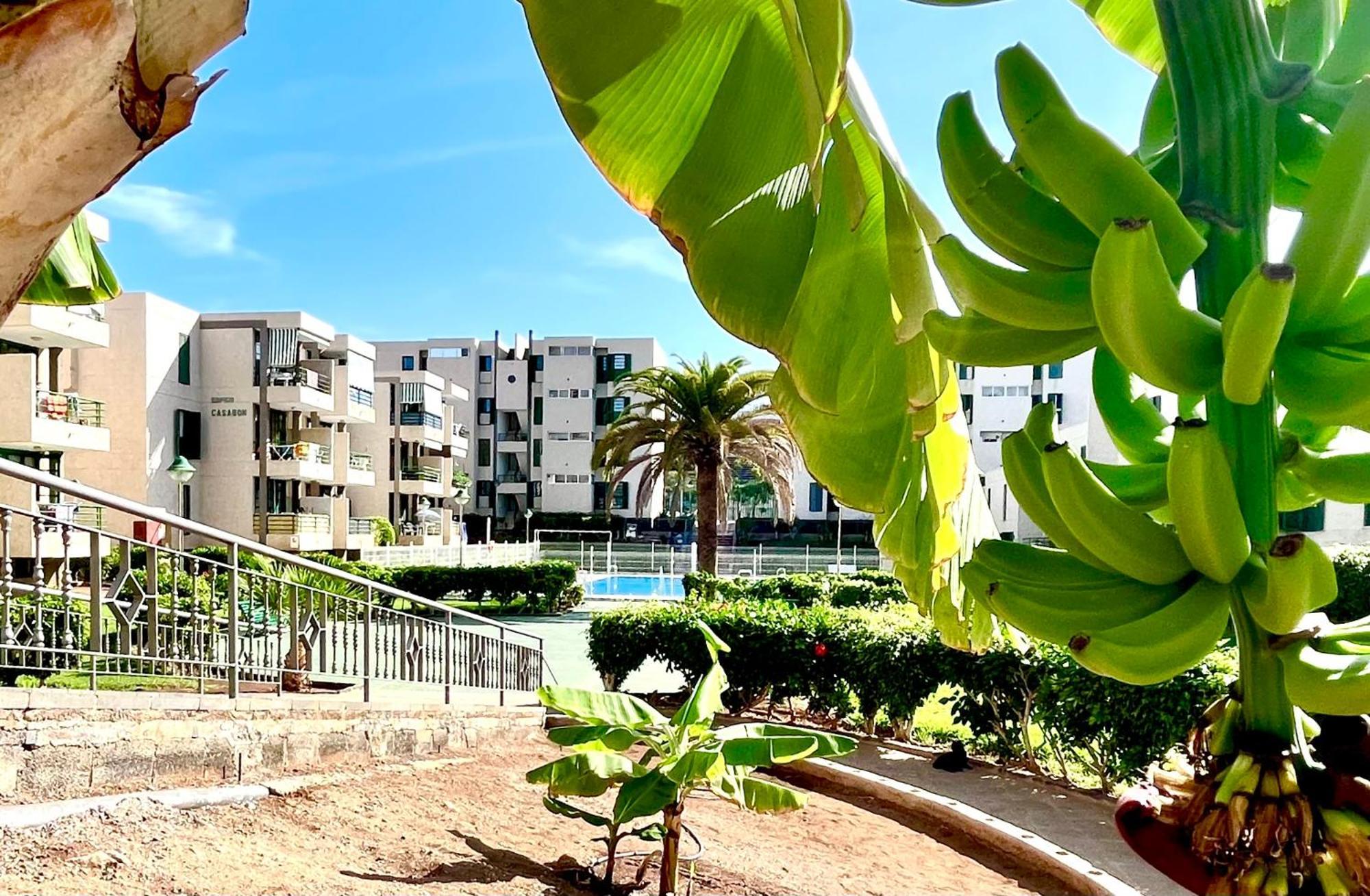 Las Vinas Apartment Playa de las Américas Kültér fotó